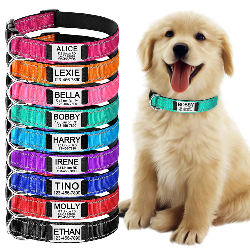 Nylon Dog Collar