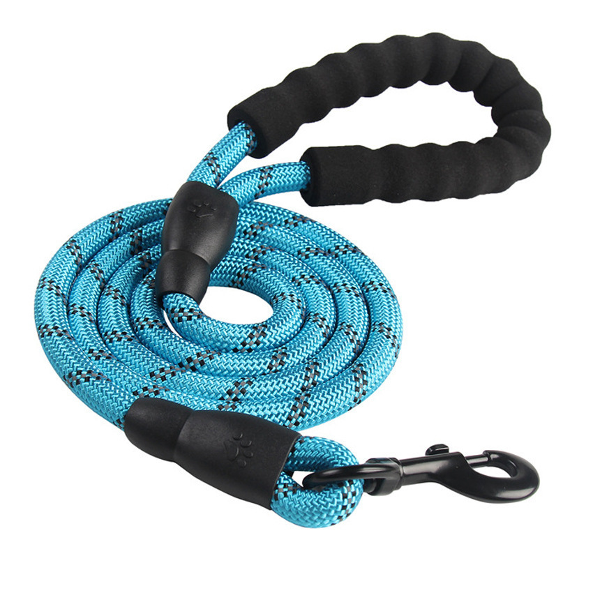Nylon Dog Leash