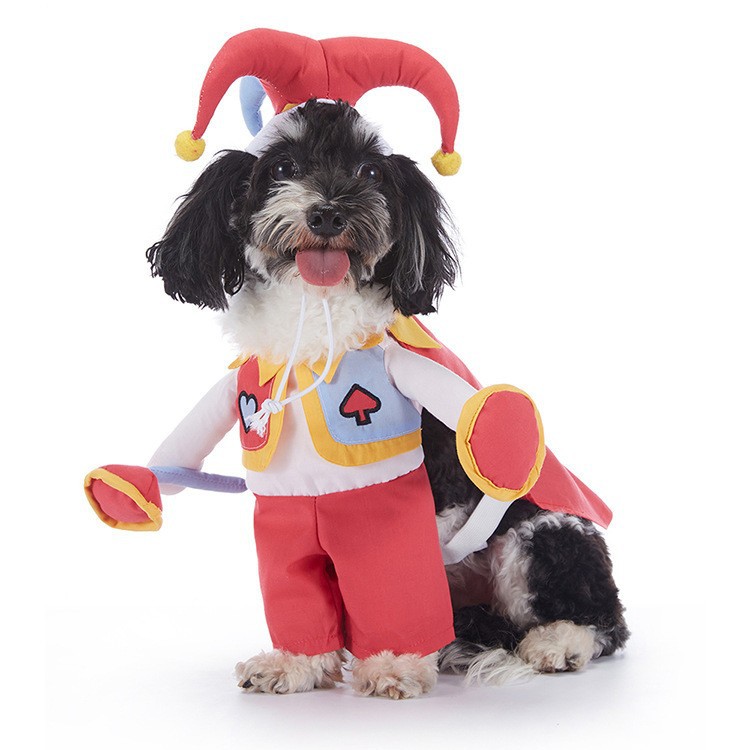 Pet Halloween Costume