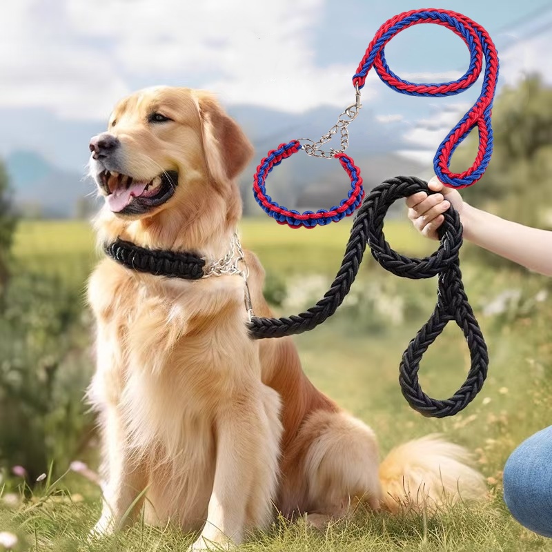 Dog leash and collar set