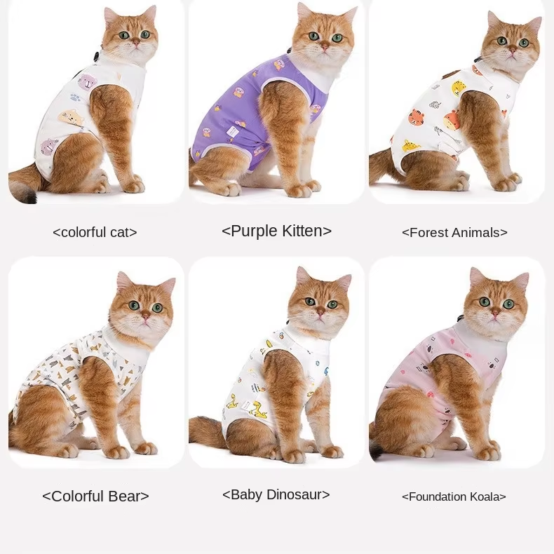 Cat Recovery Suit for Spay Abdominal Wounds