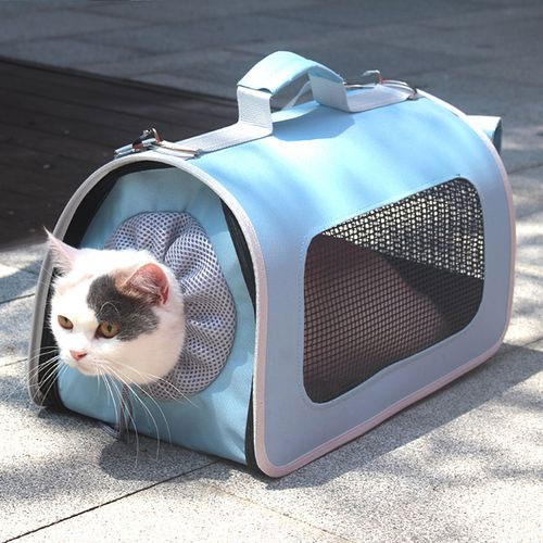 Pet carriers & travel