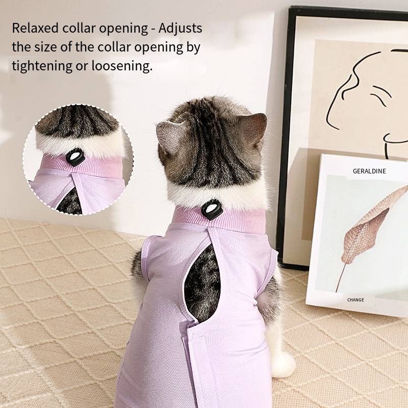 Cat Surgery Recovery Suit