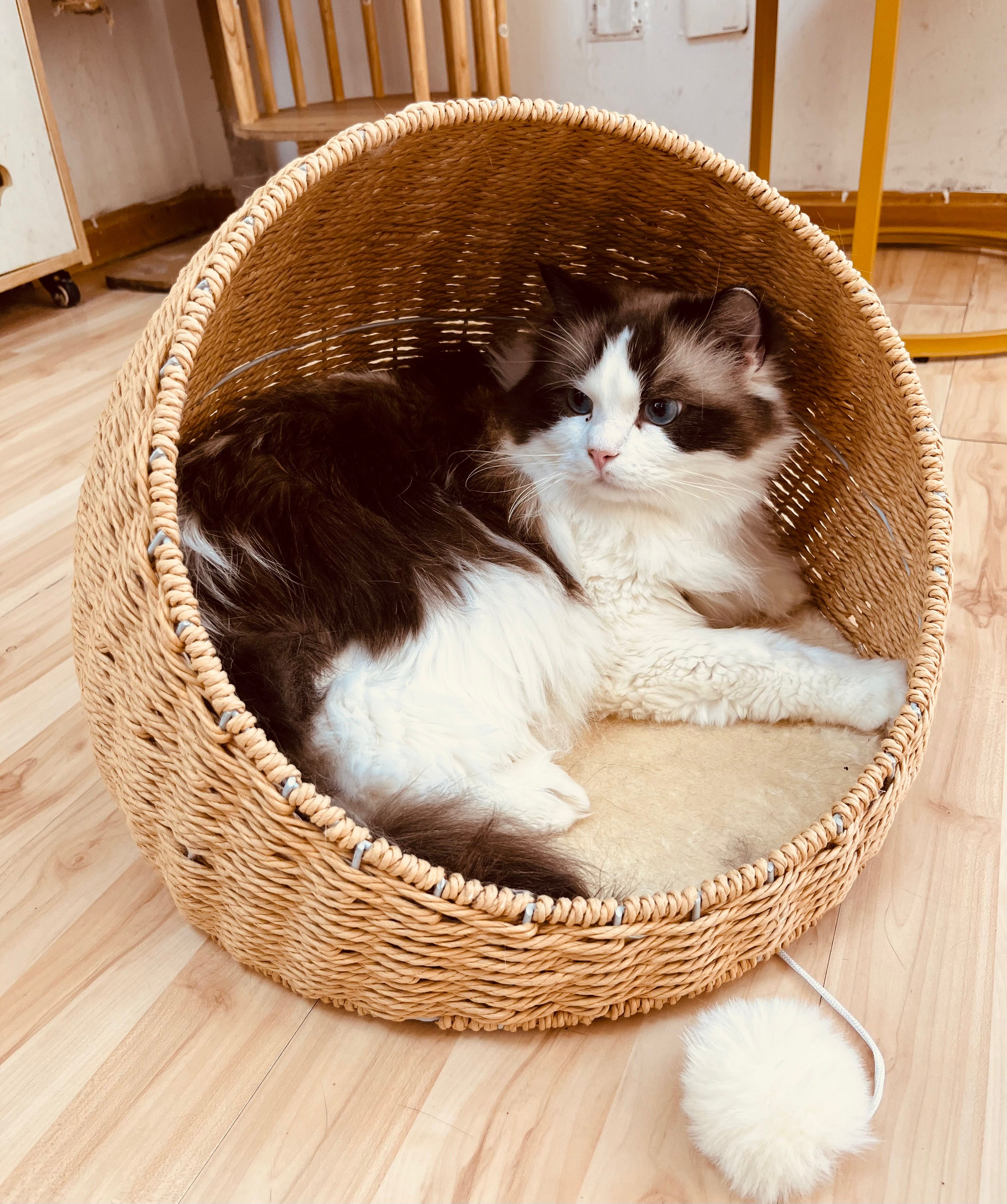 Rattan scratching cat house