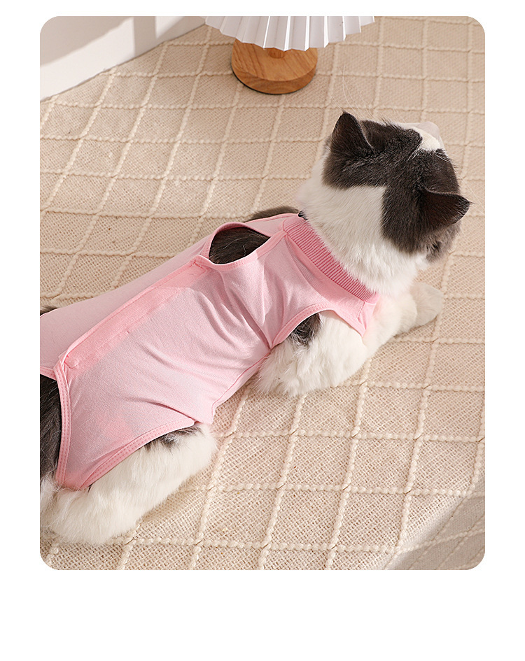Cat Surgery Recovery Suit