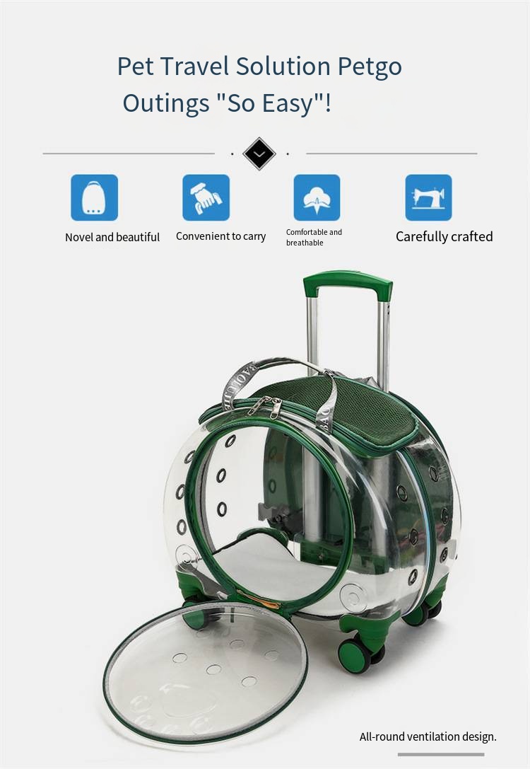 Pet Travel Carrier