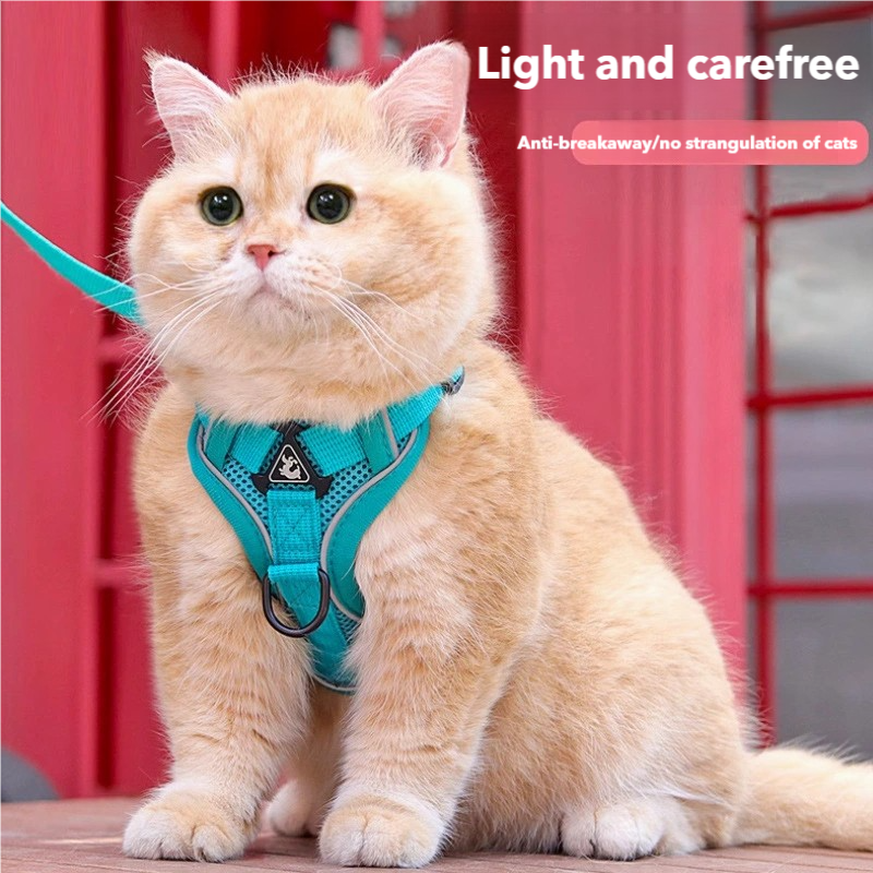 Cat Harness and Leash set