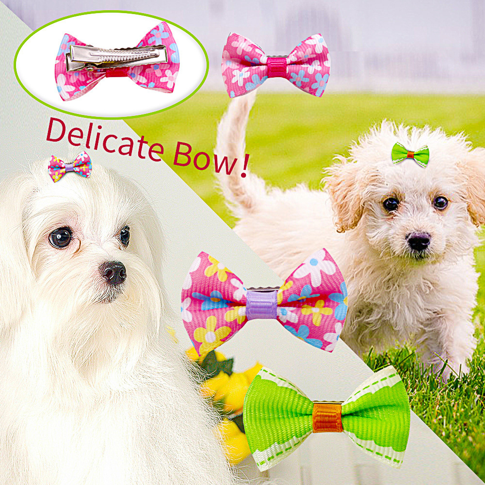 Dog Hair Accessories