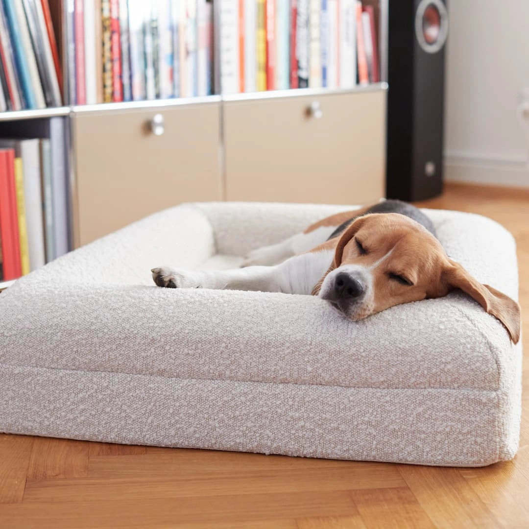 Orthopedic dog beds