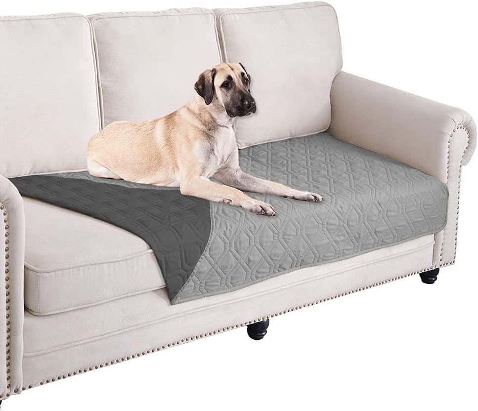 Pet Couch Cover