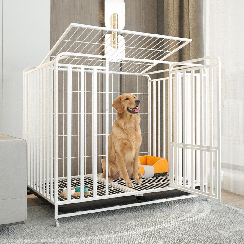 Heavy duty dog crate