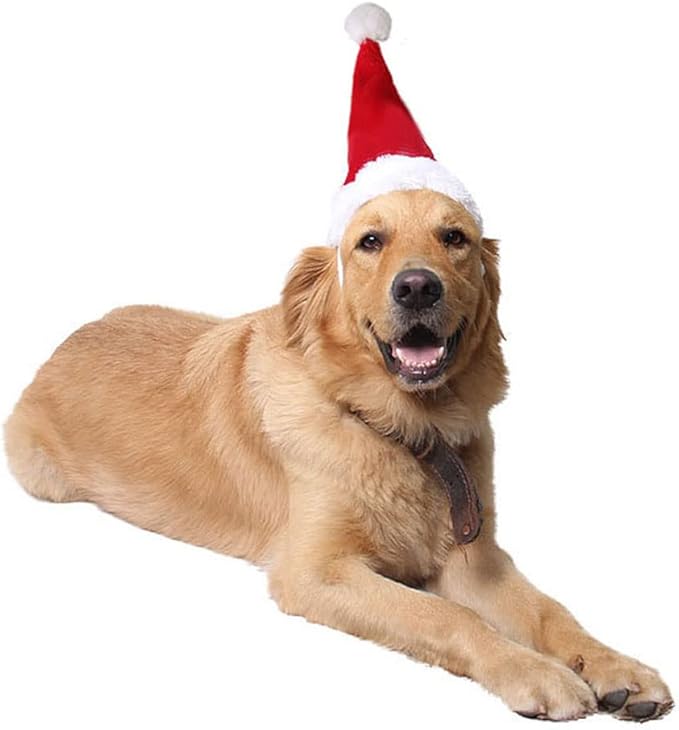 Pet Plush Santa Hat 