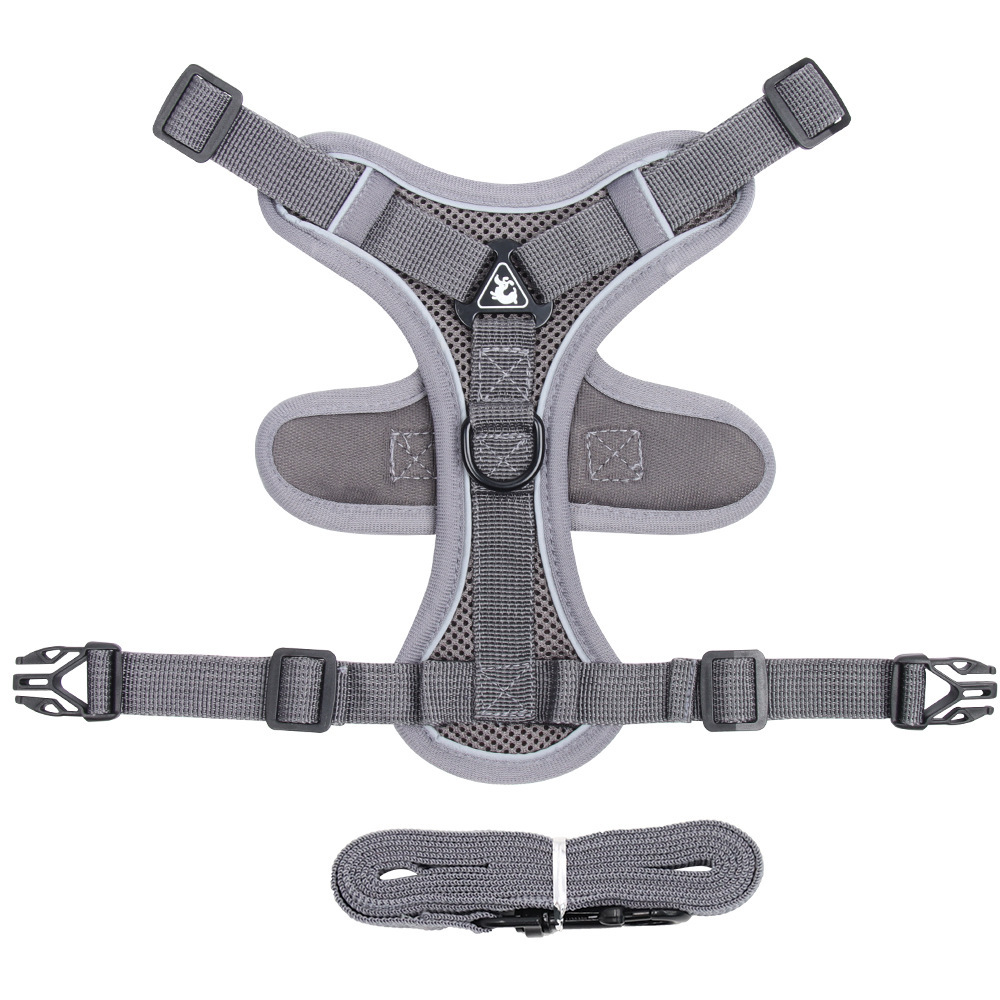 Cat Harness and Leash set