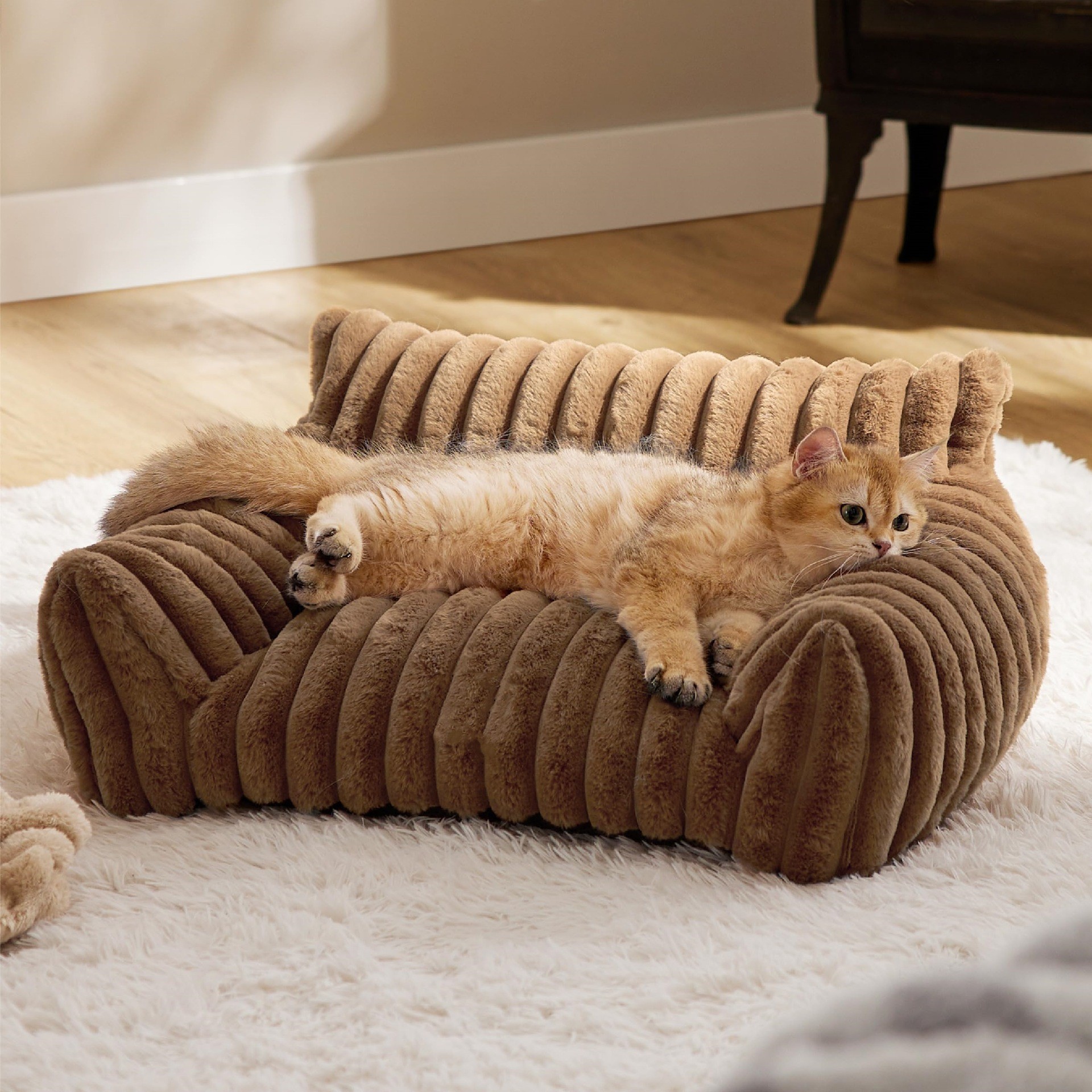 Cat Couch Bed