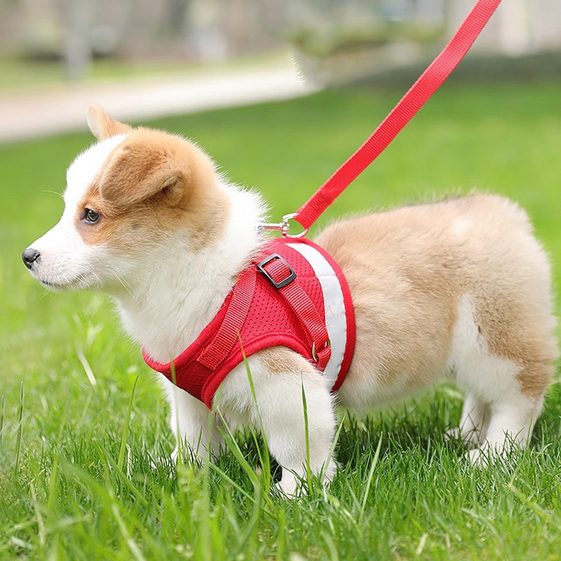 Dog Harness Vest Set 