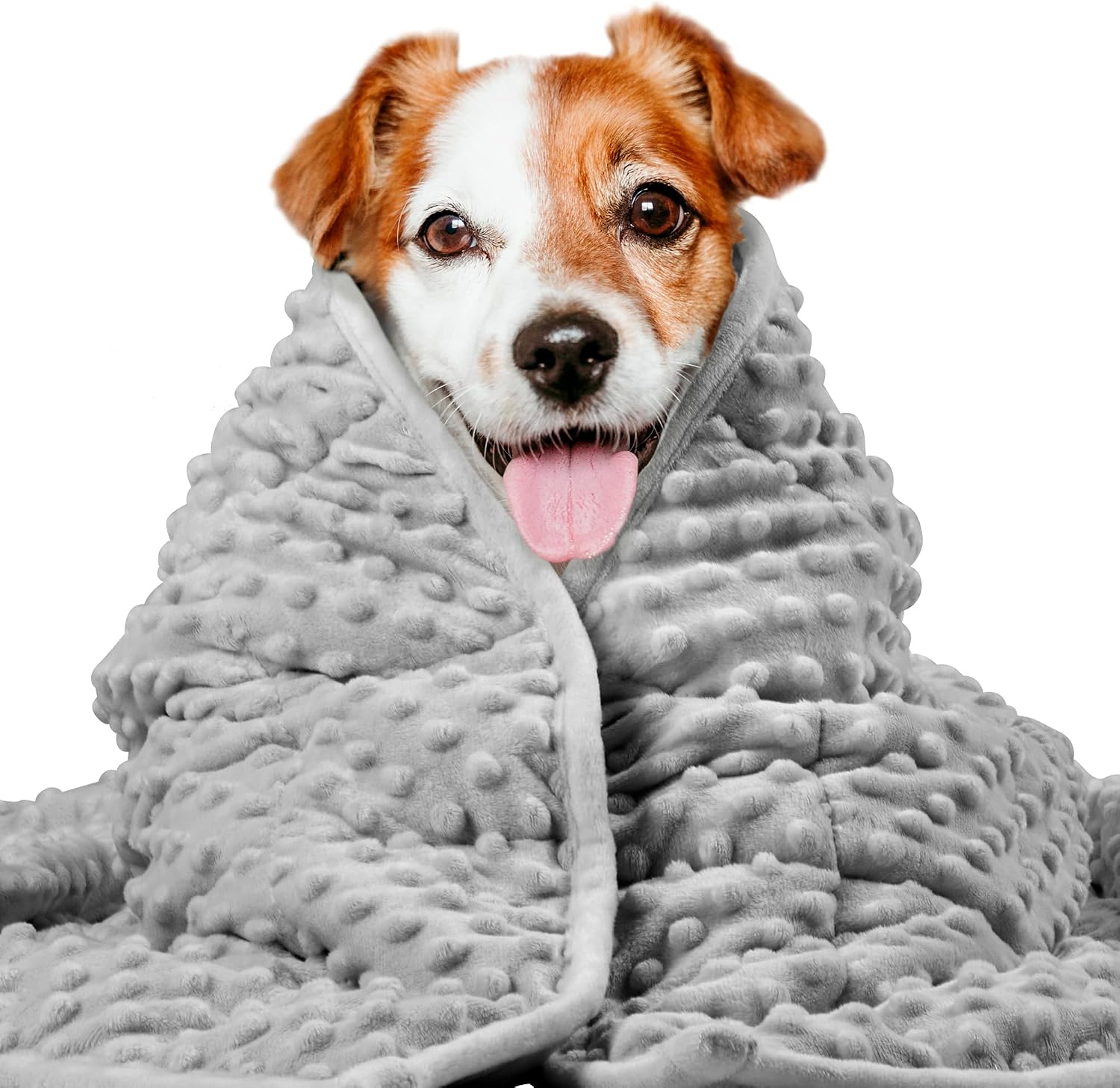 Weighted Calming Blanket for Dogs