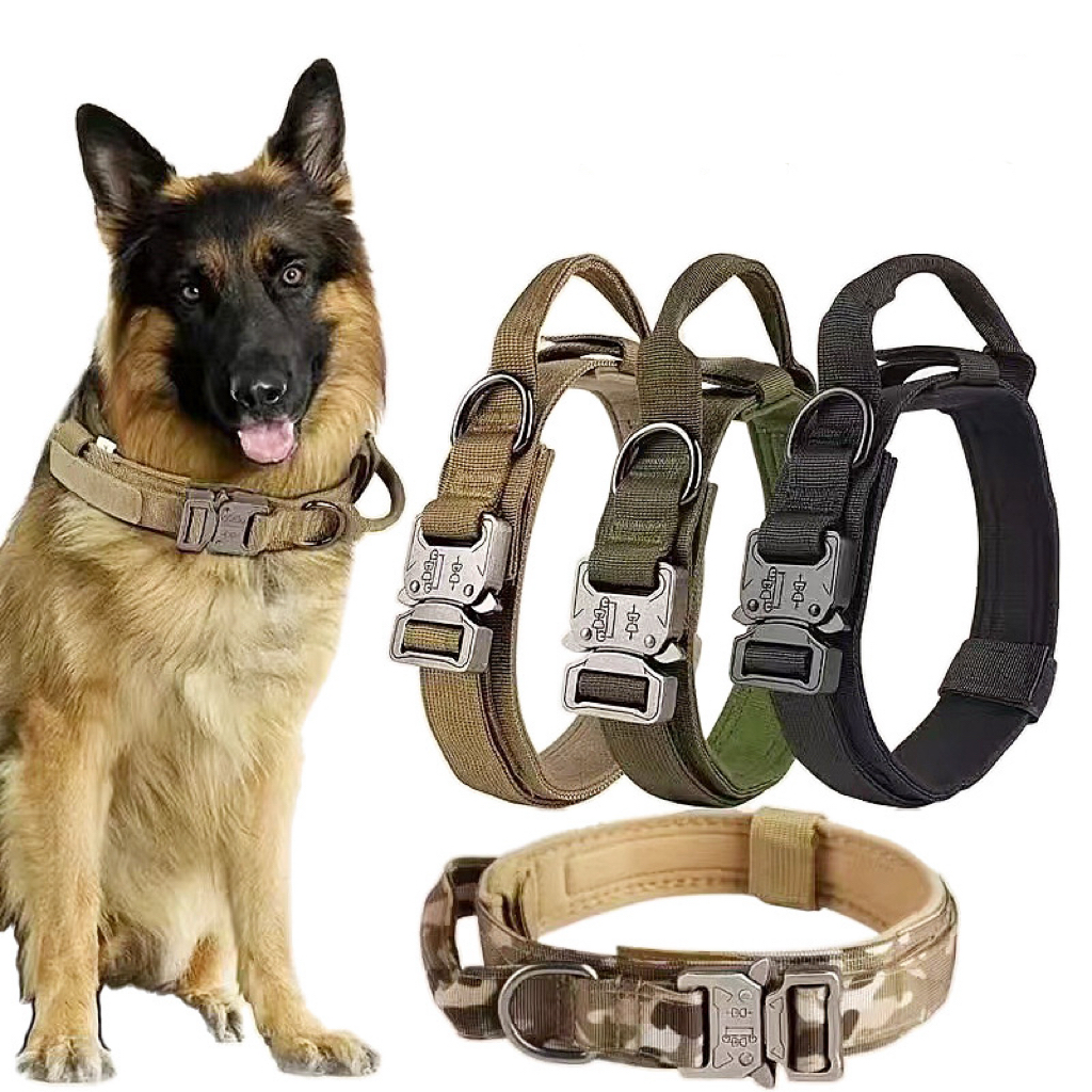 Tactical dog collars