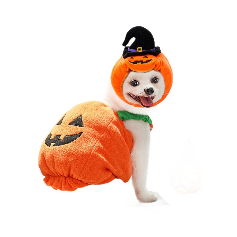 Pet Clothing Supplier