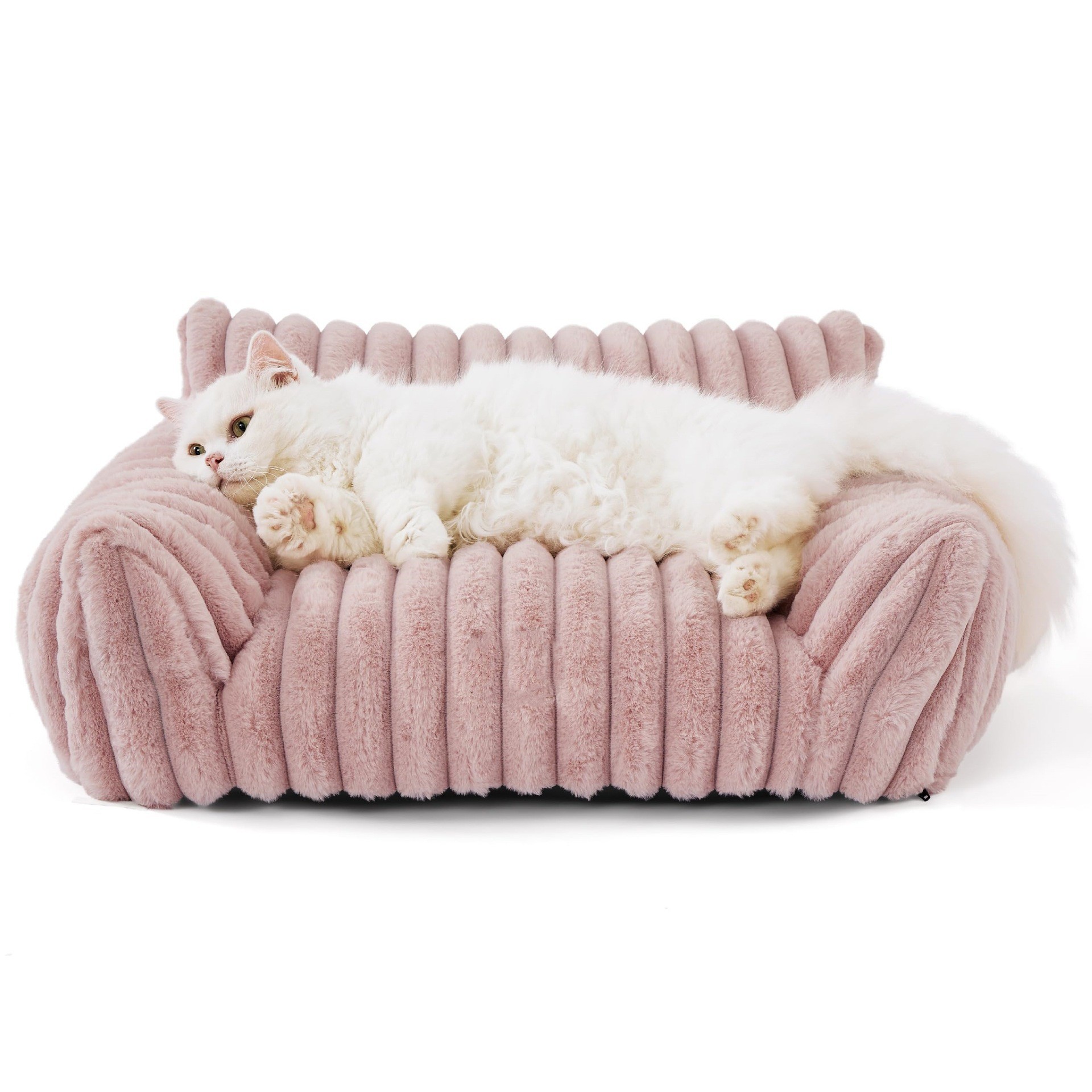 Cat Couch Bed