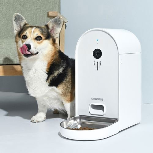Pet Apparel & accessories
