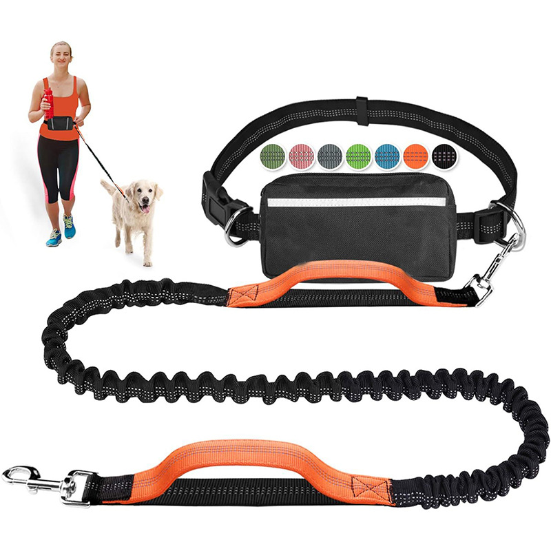 Belt Bag Leash