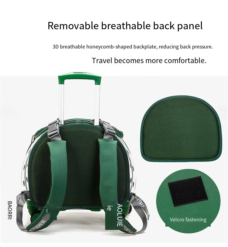 Pet Travel Carrier