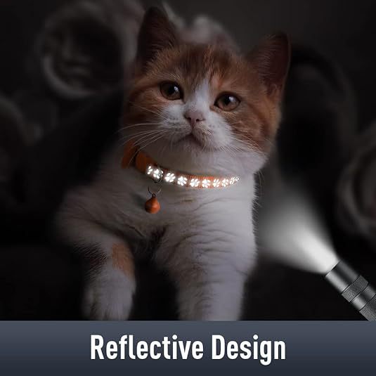 Cat Collars With Bell 