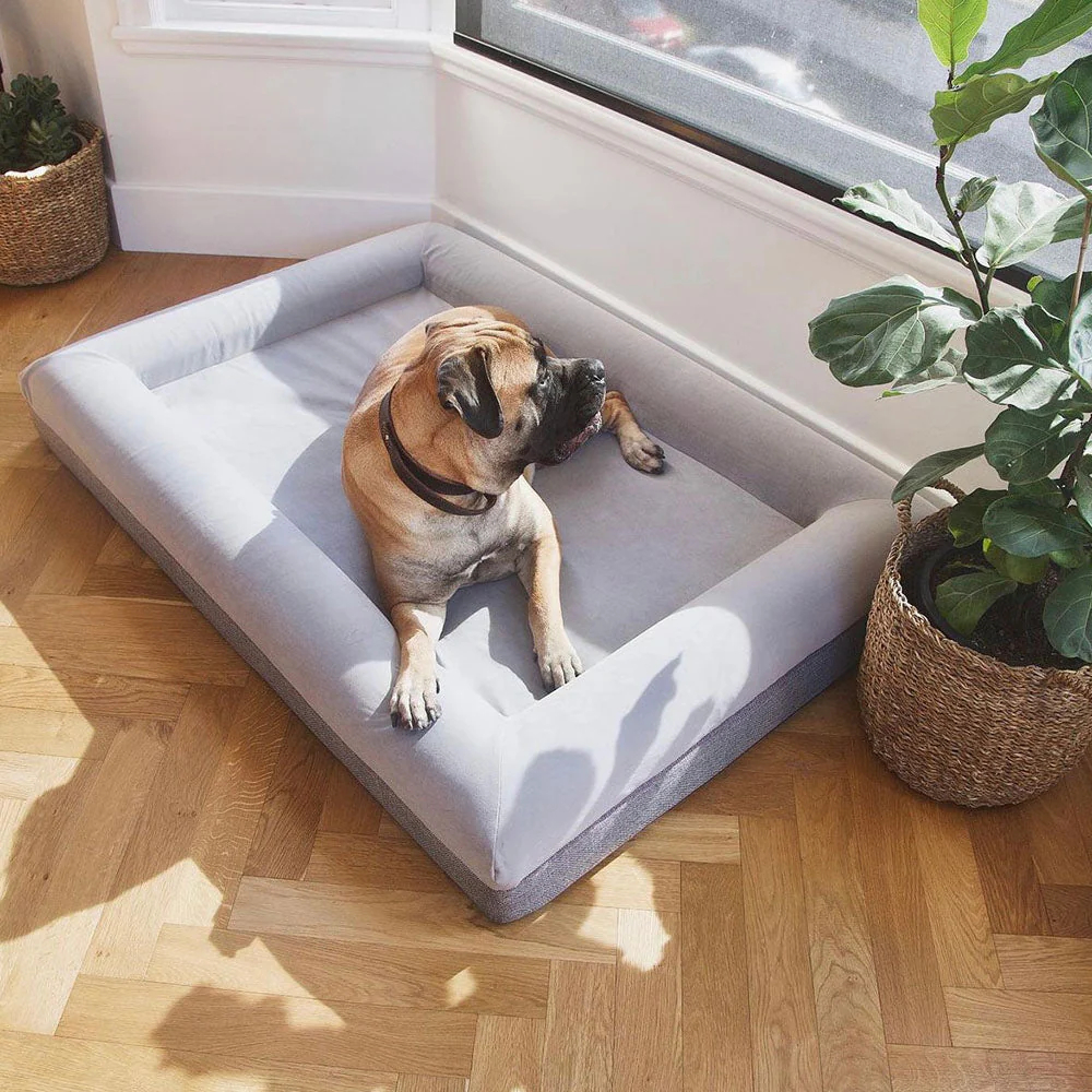 Orthopedic Foam Dog Beds