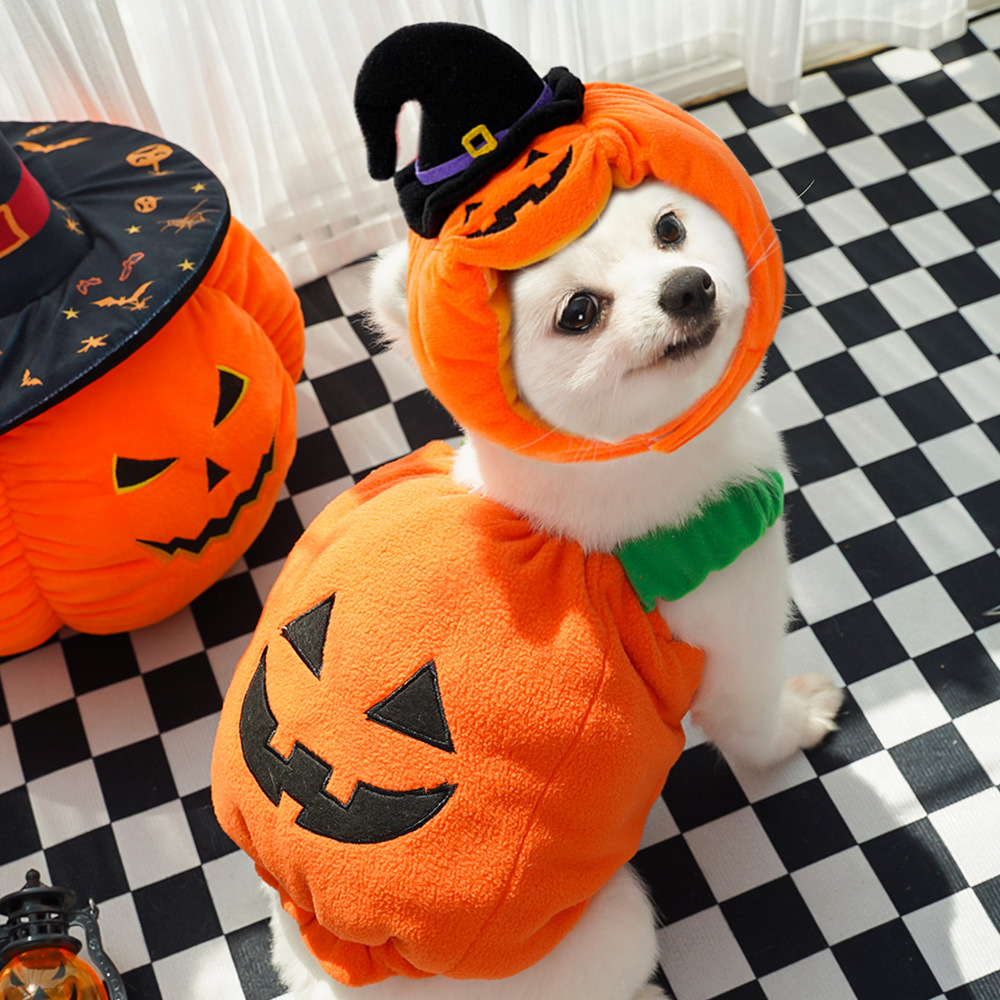 Pet Clothing Supplier