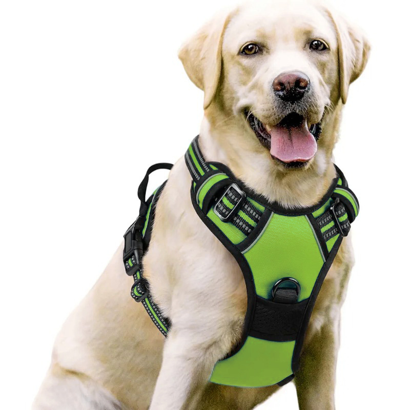 Pet Harness Set