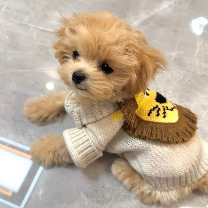 Pet Sweater
