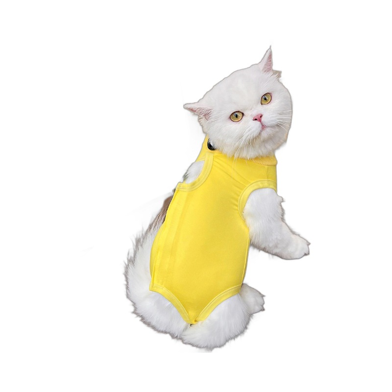 Cat Surgery Recovery Suit