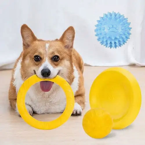 Pet toy