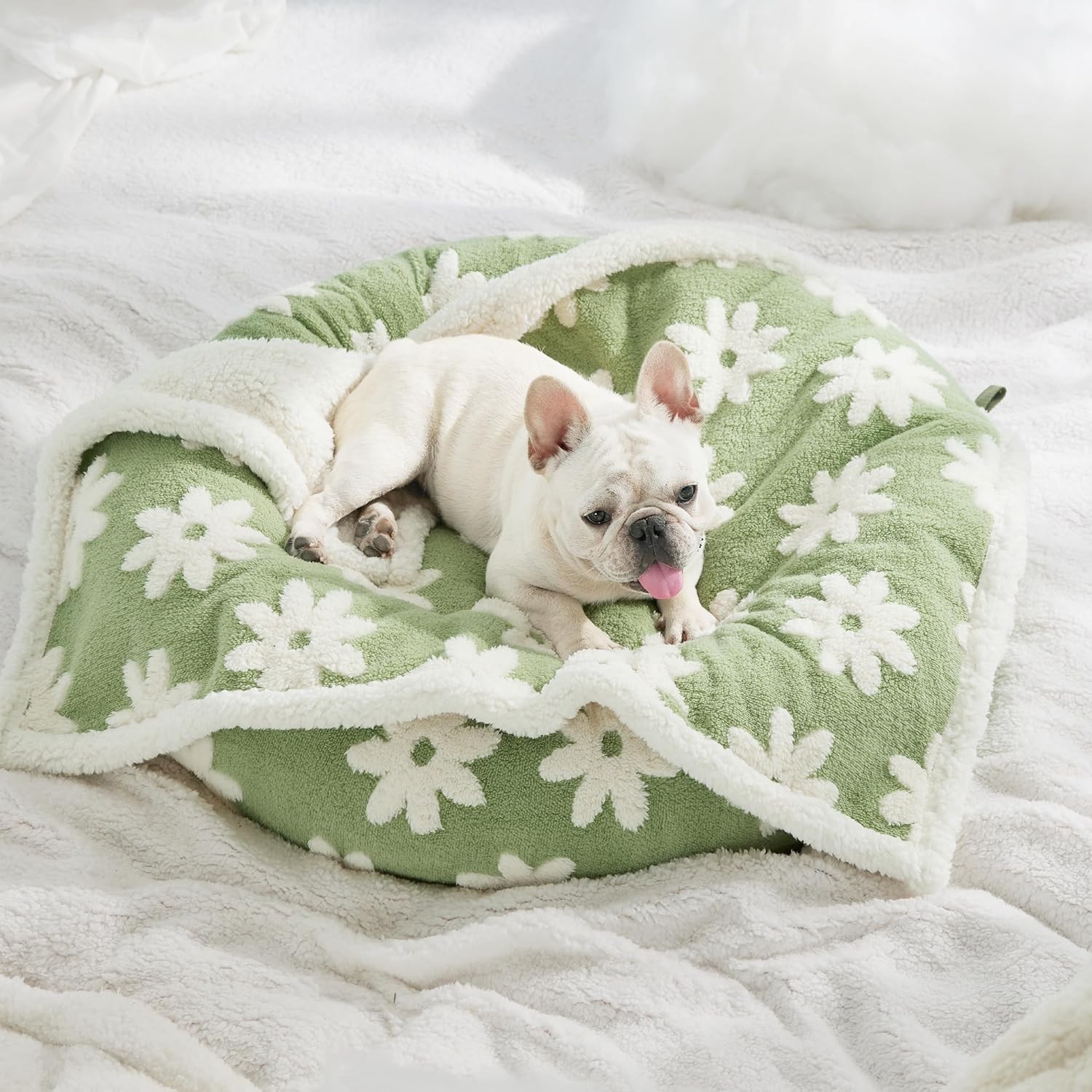Dog Blanket Waterproof