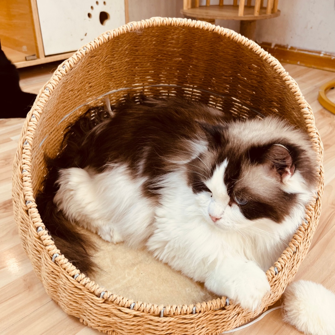 Rattan scratching cat house