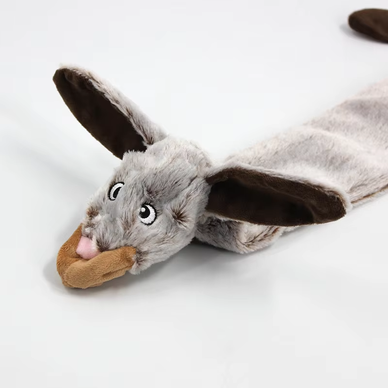 No Stuffing Double Squeaker Dog Toys