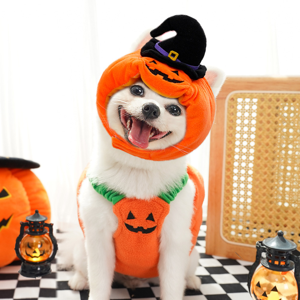 Pet Clothing Supplier