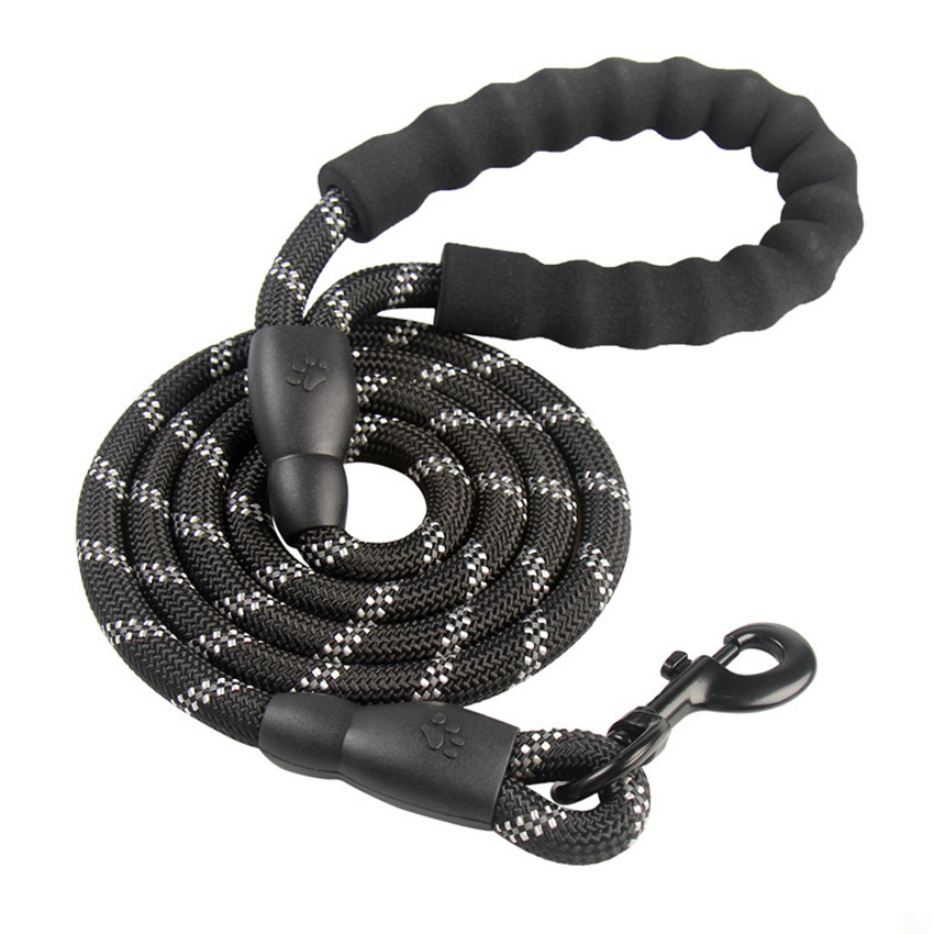 Nylon Dog Leash