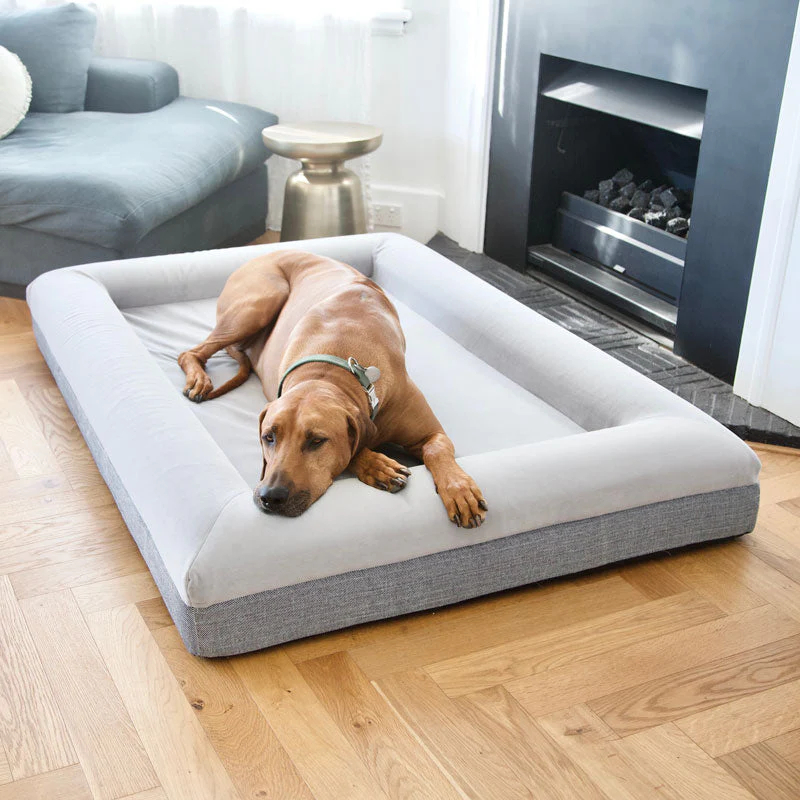 Orthopedic Foam Dog Beds
