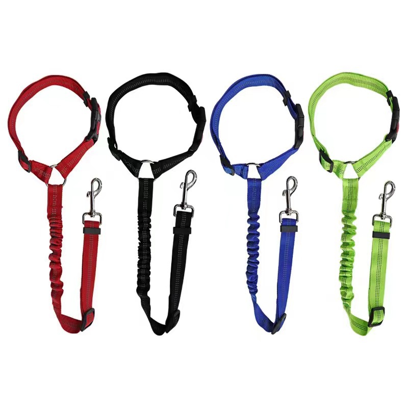 Pet Car Safety Leash