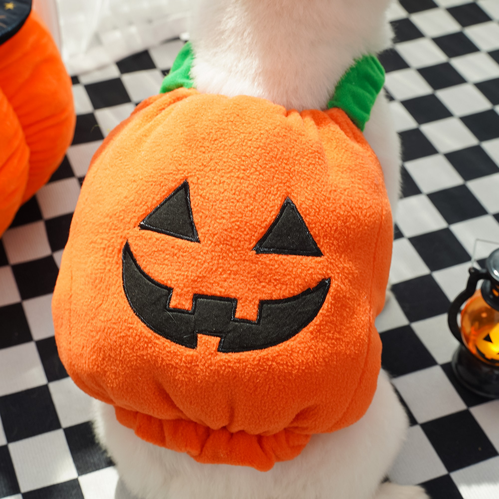 Pet Clothing Supplier