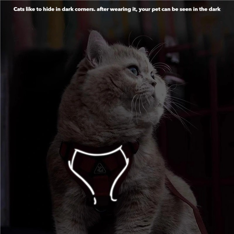 Cat Harness and Leash set
