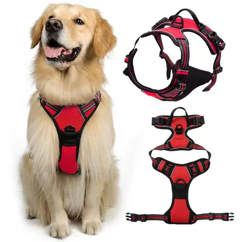 Pet Harness Set