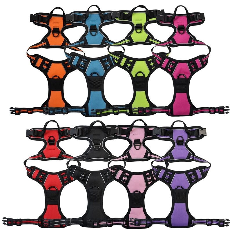 Pet Harness Set 