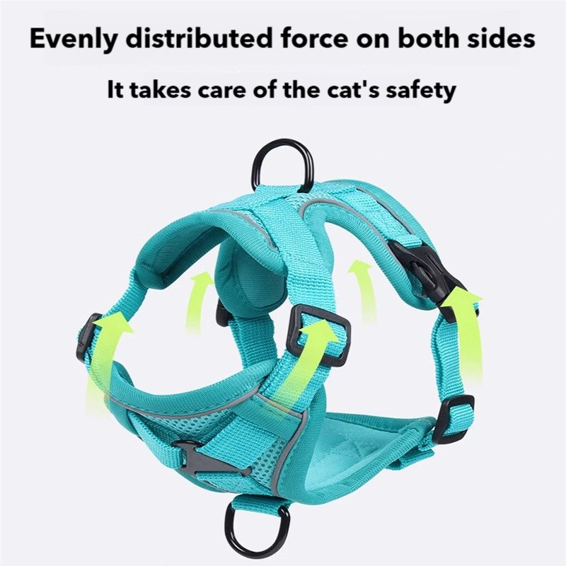Cat Harness and Leash set