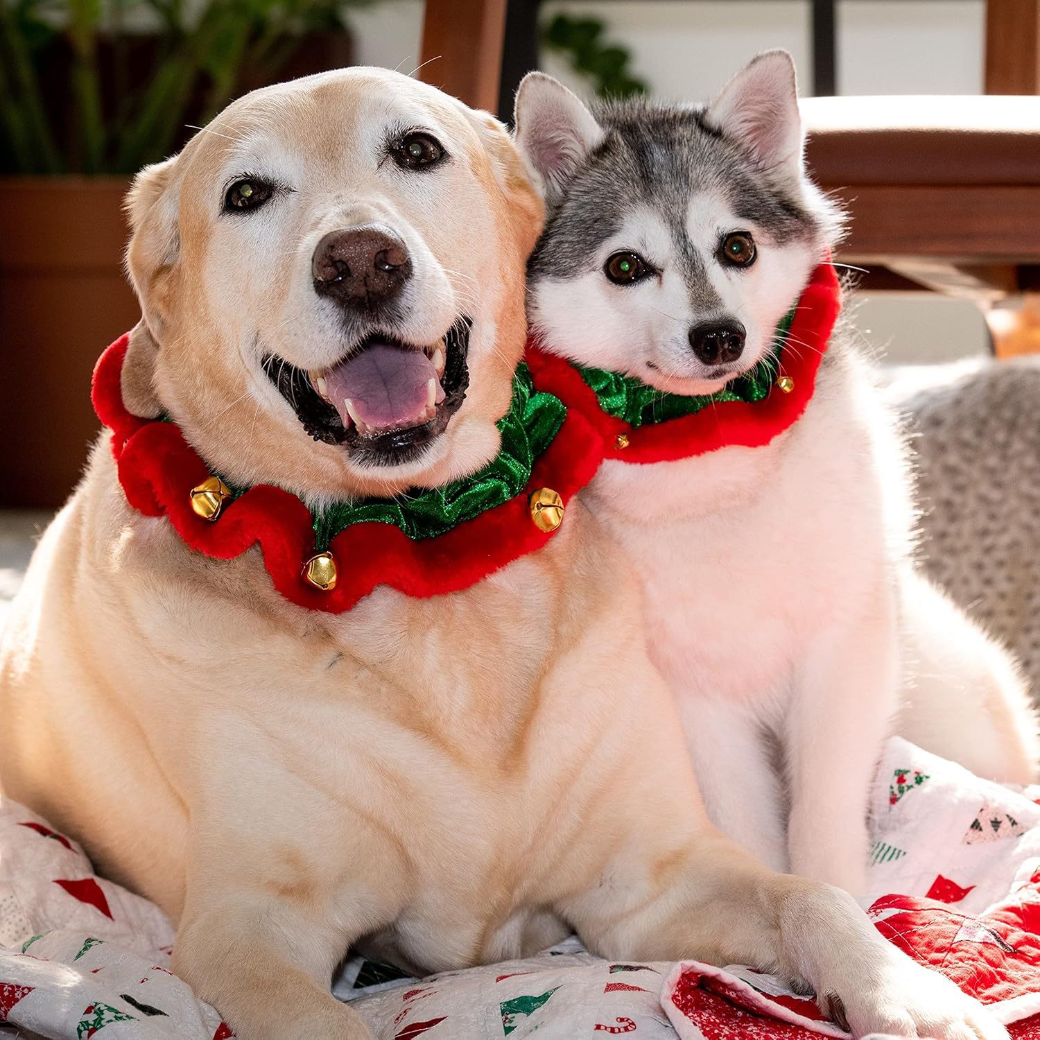 Christmas Pet Collar With Bells