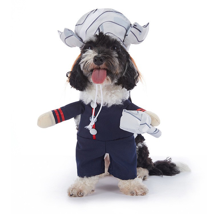 Pet Halloween Costume