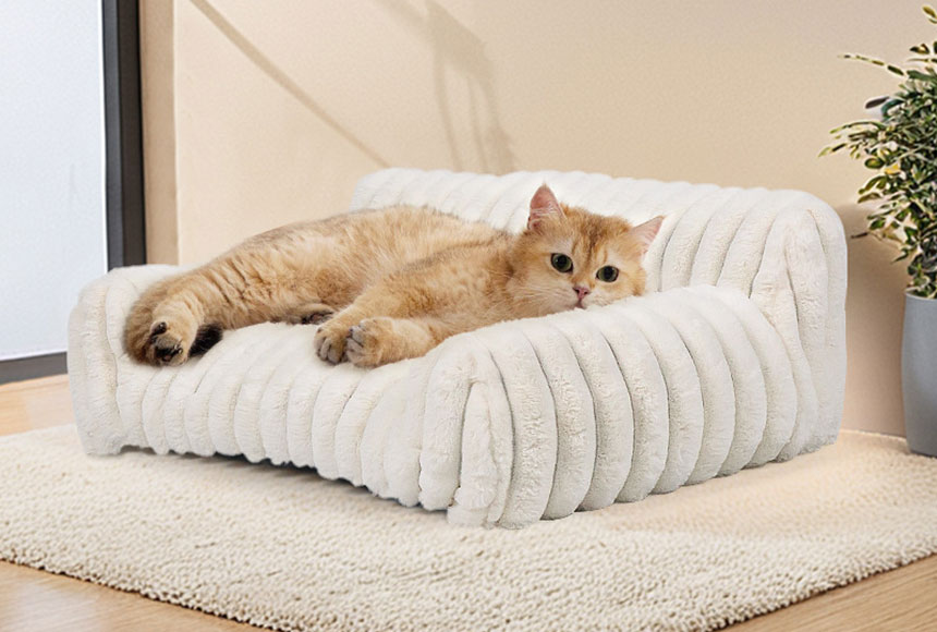 US Pet Industry 2026 Trends