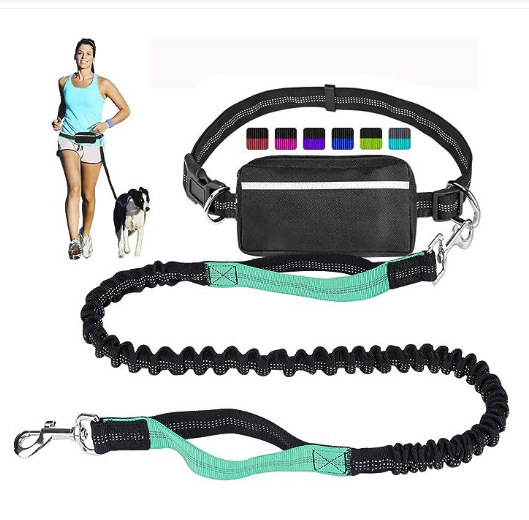 Belt Bag Leash