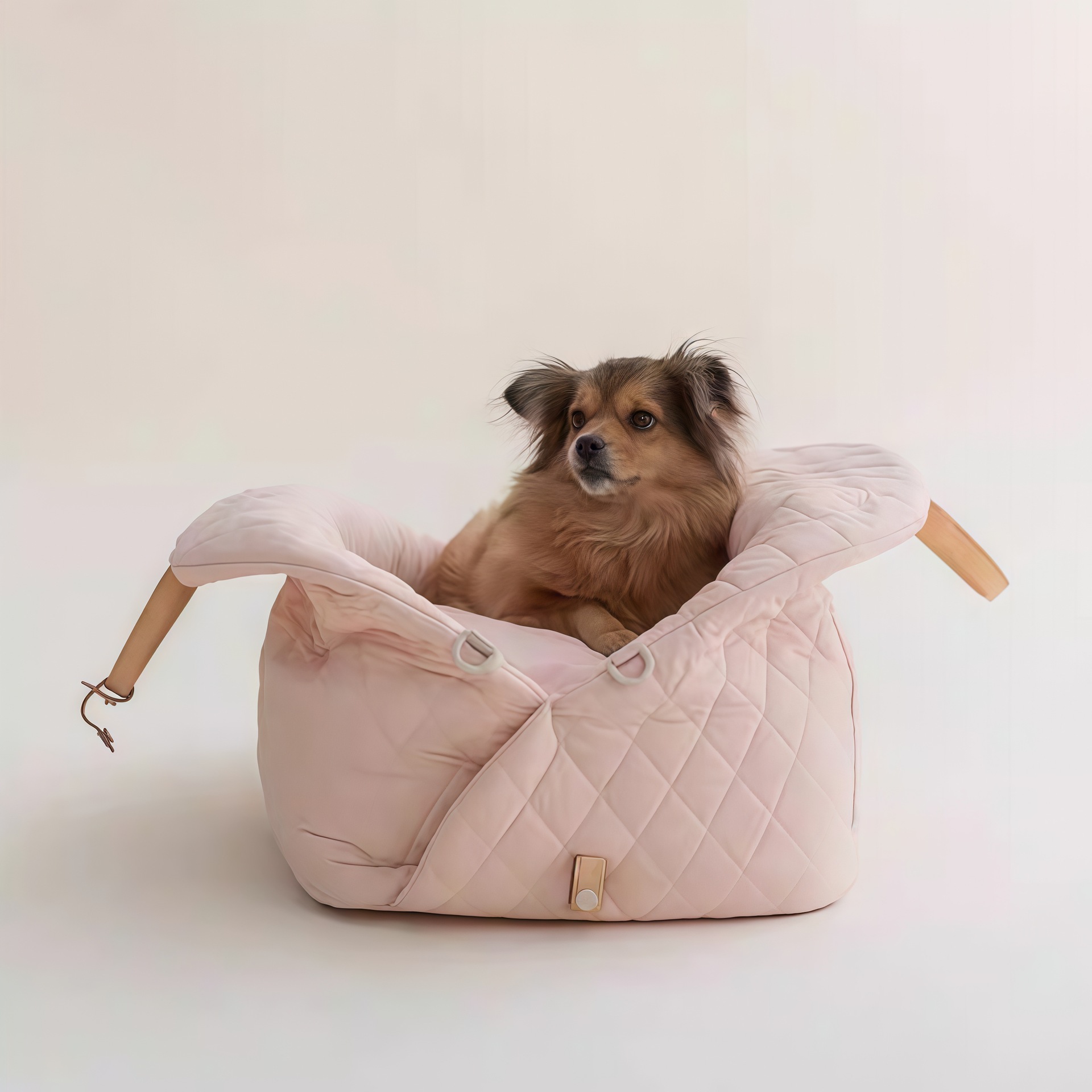 3-in-1 Pet Carrier bag